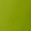 #swatch_BRAZILIAN GREEN