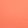 #swatch_ANIMATED CORAL