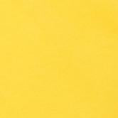 #swatch_CHEERFUL YELLOW