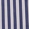 #swatch_NAVY