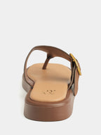 #color_BROWN